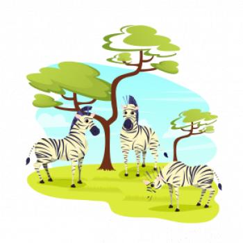 Zebry pod stromem