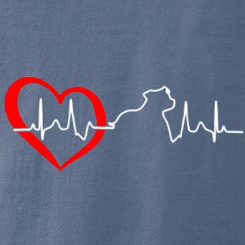 Stafordšírsky bulteriér EKG