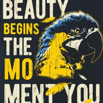 Bird macaw