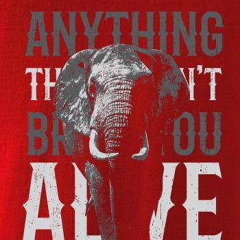 Elephant toosmall