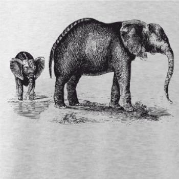 Slonice a slůně kreslené