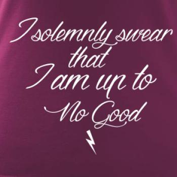 I solemnly swear that I'm up to no good