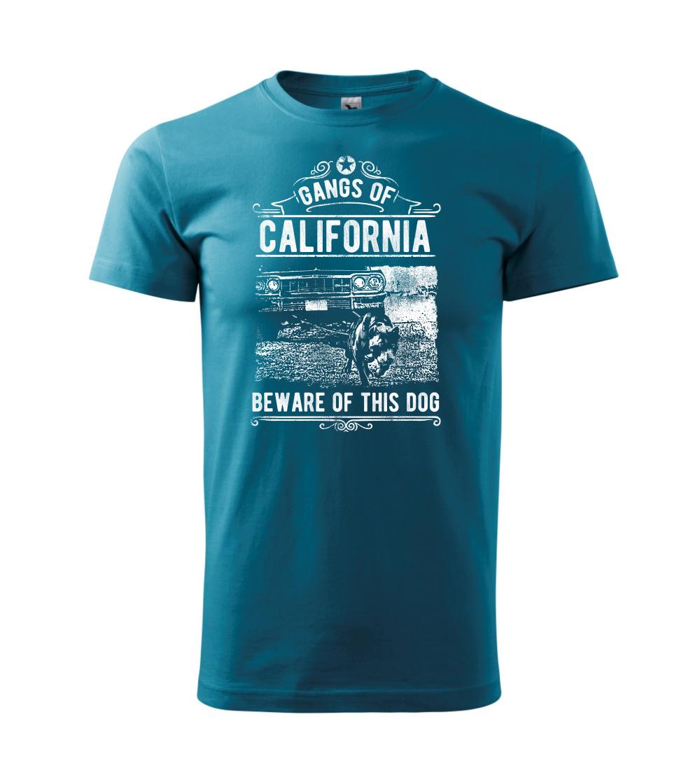 Gangs Of California Gangs Of California