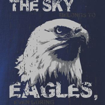 Eagle skystorm