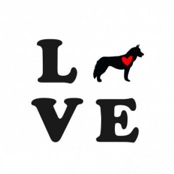 Husky love