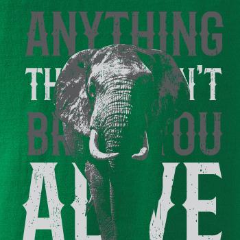 Elephant toosmall