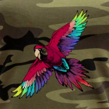 Papoušek kreslený letící