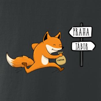 Běží liška k táboru