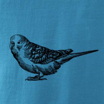 Tužkou kreslený Papoušek