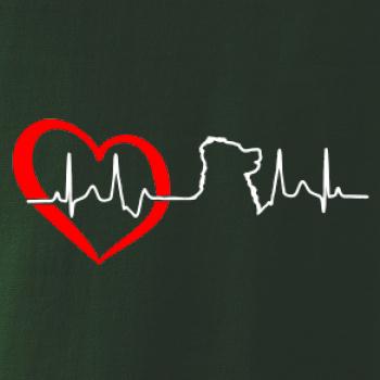 Bernský salašnický pes EKG