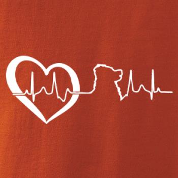 Bernský salašnický pes EKG