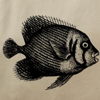 Mořská ryba kreslená