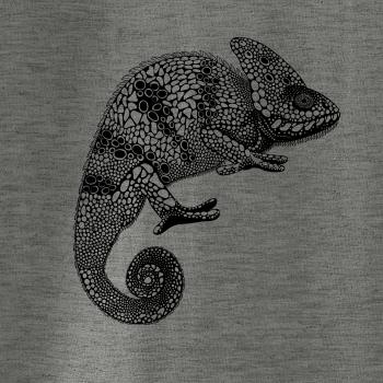 Chameleon kresba Chameleon kresba