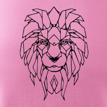 Geometrie - lev tvář