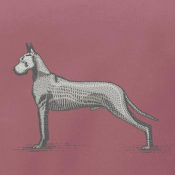 Vintage Great dane