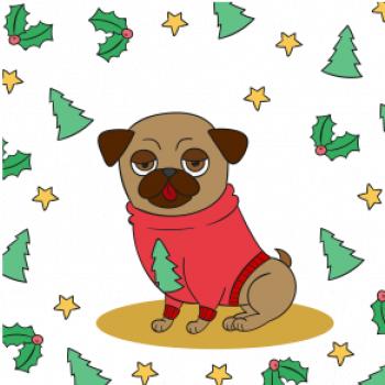 Vánoční mops Vánoční mops