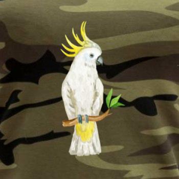 Papoušek Kakadu kreslený