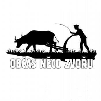 Občas něco zvořu Občas něco zvořu