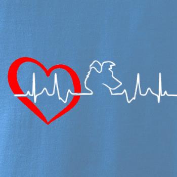 Border kolie EKG Border kolie EKG