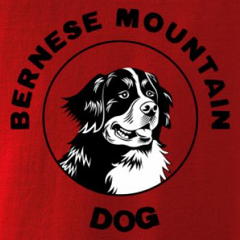 Bernese mountain dog v kruhu