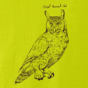 Výr virginský great horned owl