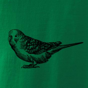 Tužkou kreslený Papoušek