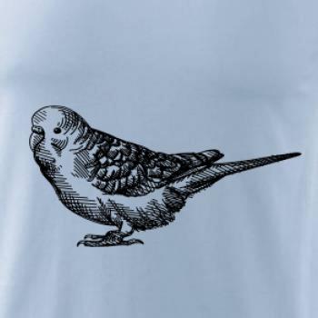 Tužkou kreslený Papoušek