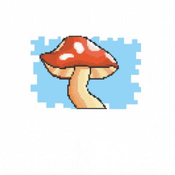 Gamer - stará hra - houba