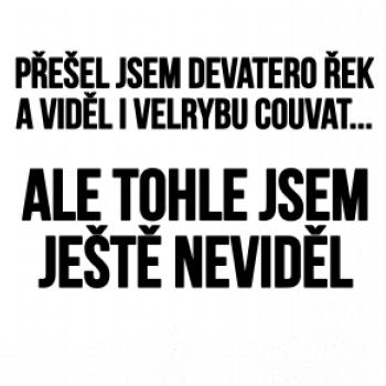 Viděl jsem velrybu couvat