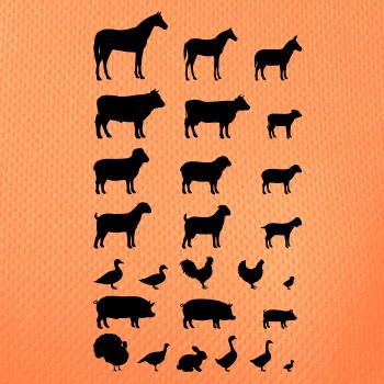 Zvířátka z vesnice