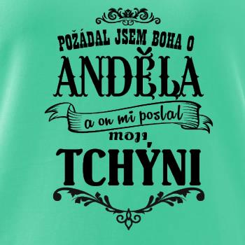 Požádal jsem boha o anděla a on mi poslal moji tchýni