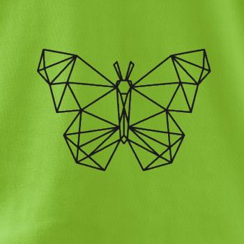 Geometrie - motýl