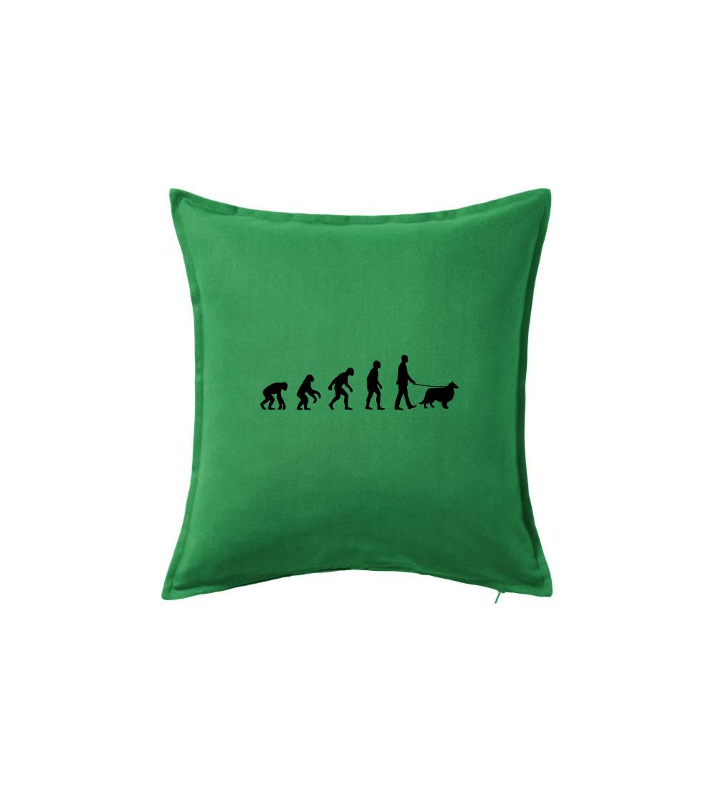 Evoluce pes Sheltie (muž-žena)