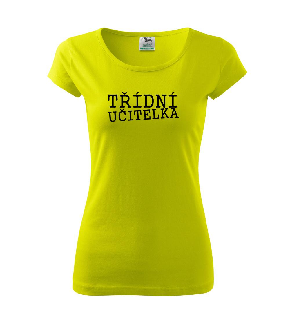 Třídní učitelka Třídní učitelka