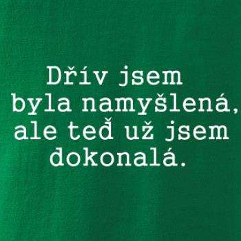 Jsem dokonalá
