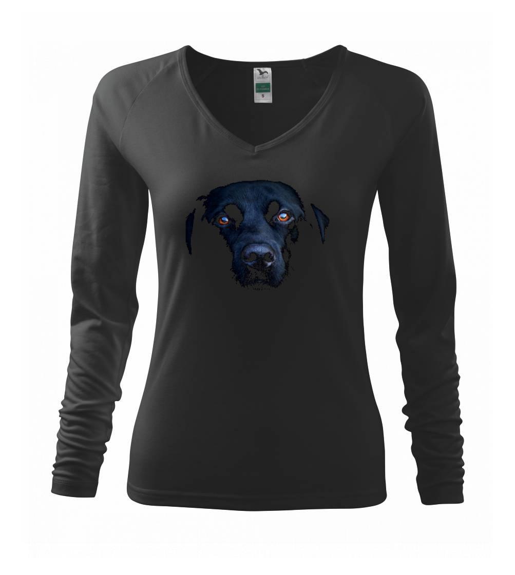 Černý Labrador fotka Černý Labrador fotka