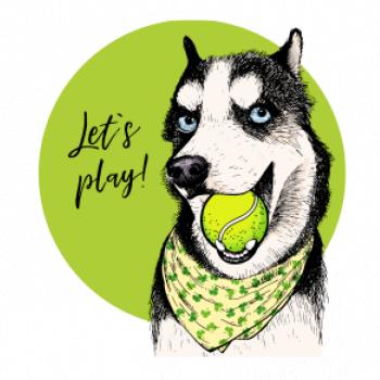 Husky - lets play
