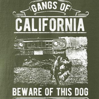 Gangs Of California