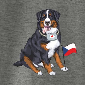 Pes záchranář bernský salašnický