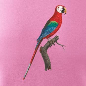 Papoušek červený na větvi