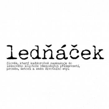 Čeština 2.0 - Ledňáček