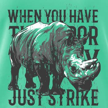 Rhino strike