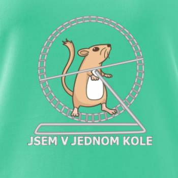 Jsem v jednom kole