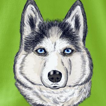 Husky hlava - kreslený