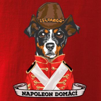 Napoleon domácí pes kříženec Napoleon domácí pes kříženec