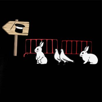 Kouzelný klobouk fronta