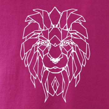 Geometrie - lev tvář