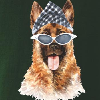 German shepherd se šátkem