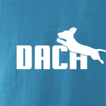 Jezevčík Dach Jezevčík Dach