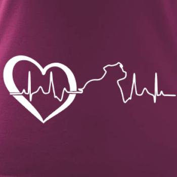 Stafordšírsky bulteriér EKG Stafordšírsky bulteriér EKG